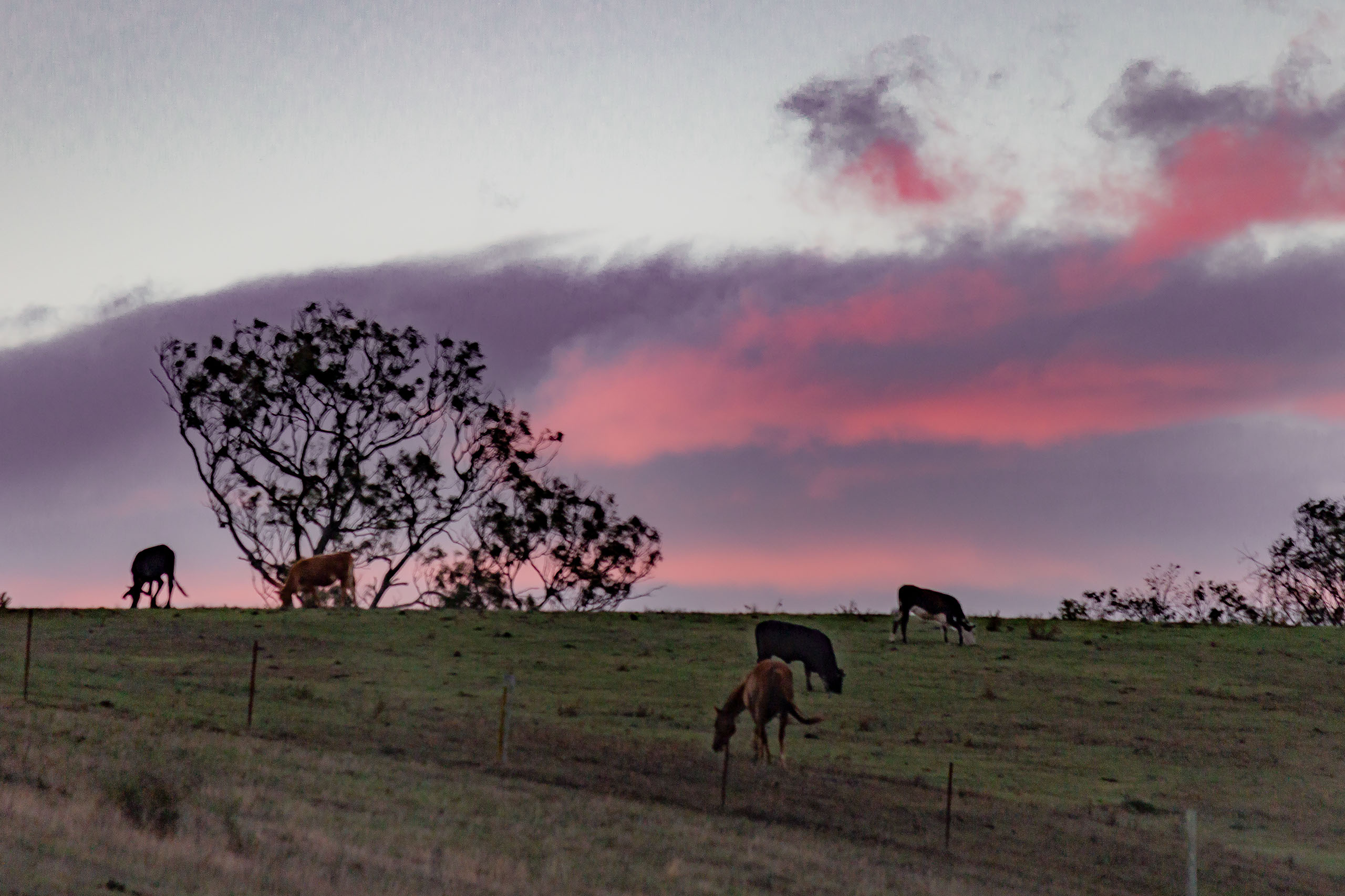 The Hidden Risks of Using an Overseas Web Host